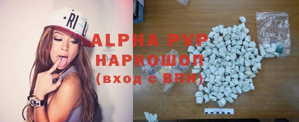 гашик Михайлов