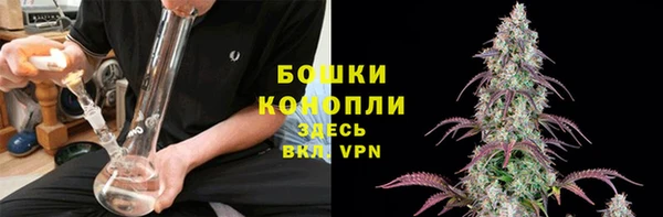 гашик Михайлов