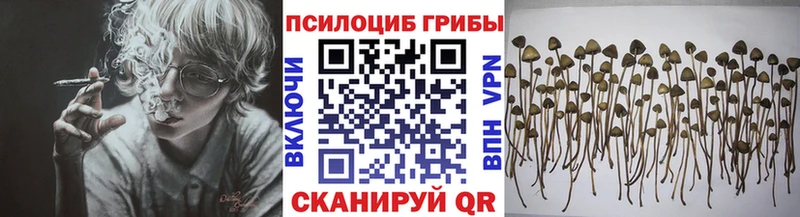МЕГА tor  Мышкин  Псилоцибиновые грибы Magic Shrooms 