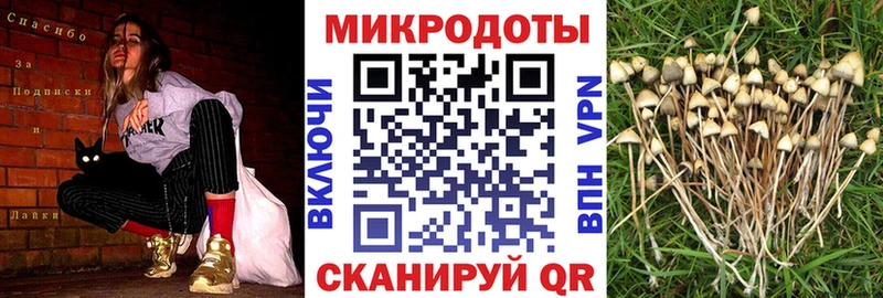 Псилоцибиновые грибы мухоморы Мышкин
