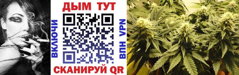 Конопля Bruce Banner  Мышкин 